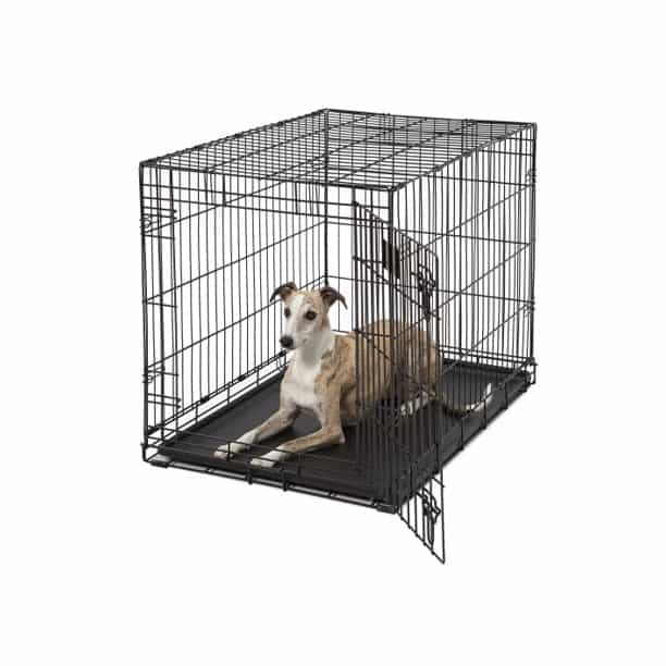 MidWest LifeStages Single Door Dog Crate, 36" 