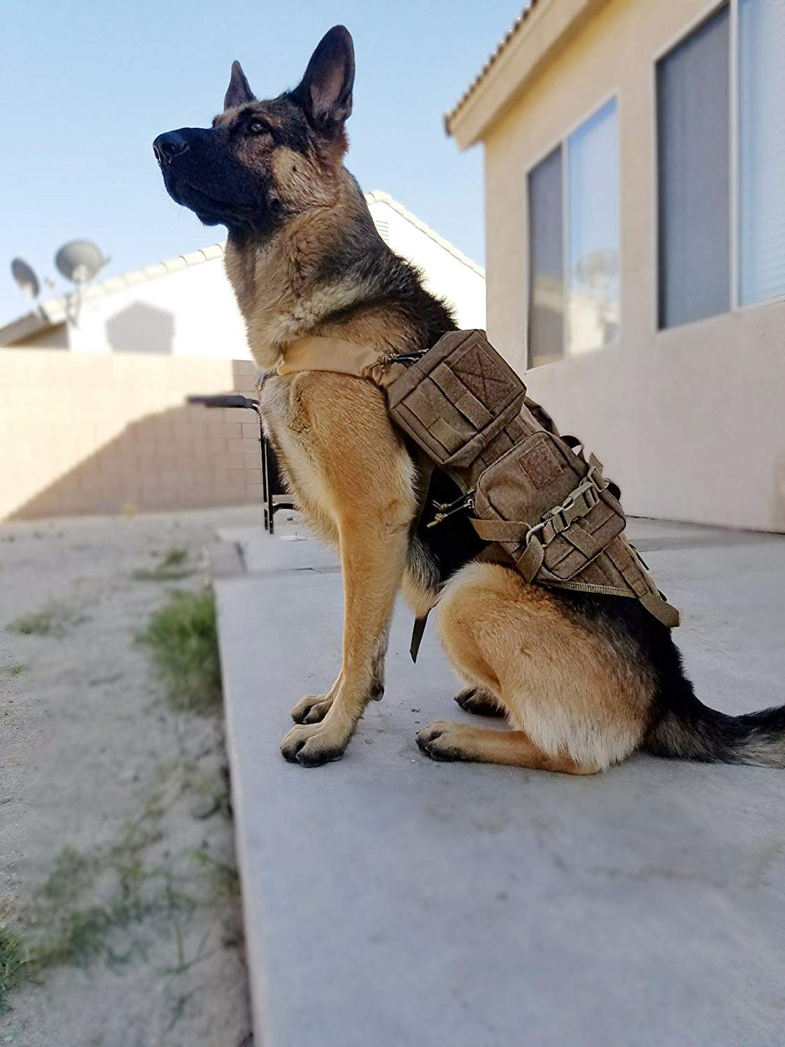 Military MOLLE Dog K9 Harness Police Tactical German Shepherd Vest ...