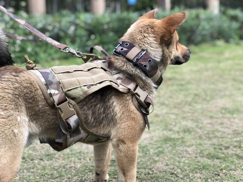 Military Tactical Dog Harness German Shepherd Pet Dog Vest ...