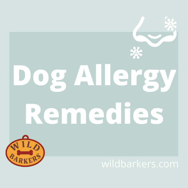Pin by Wild Barkers on Dog Allergy Remedies