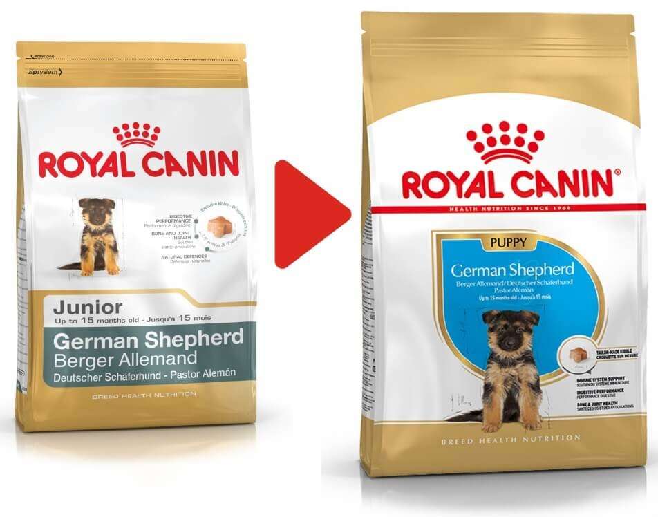 Royal Canin Breed Health Nutrition German Shepherd Junior 12 kg Dry ...