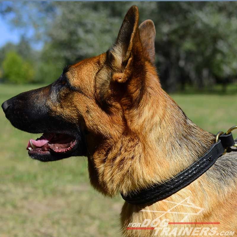 Take German Shepherd Choke Dog Collar
