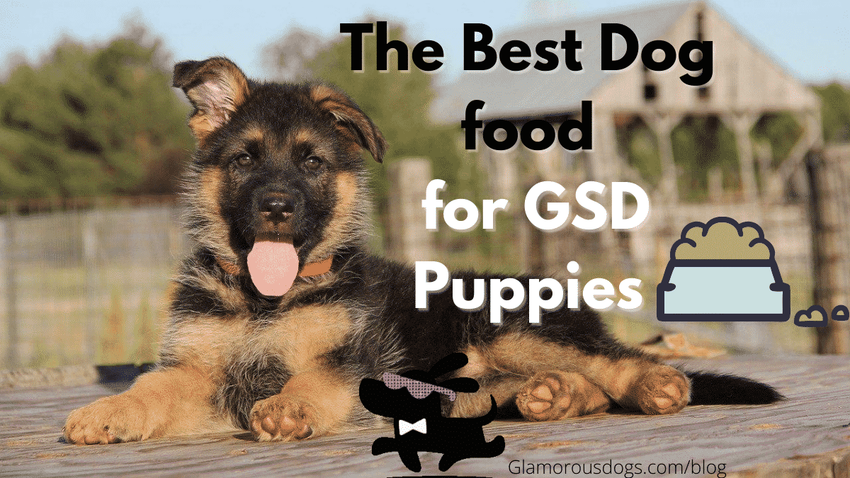 The Best Dog Food for German Shepherd Puppy in 2020 ...