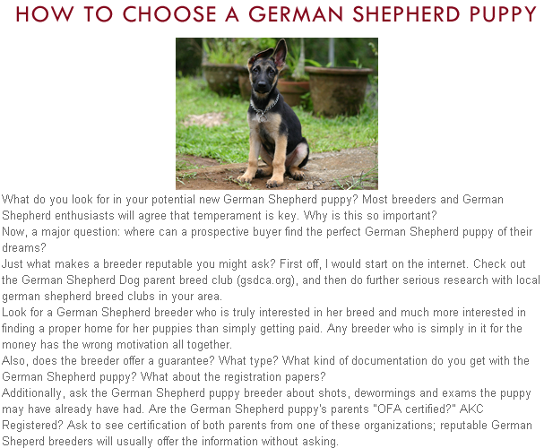 Tips to choose your German Shepherd Puppy