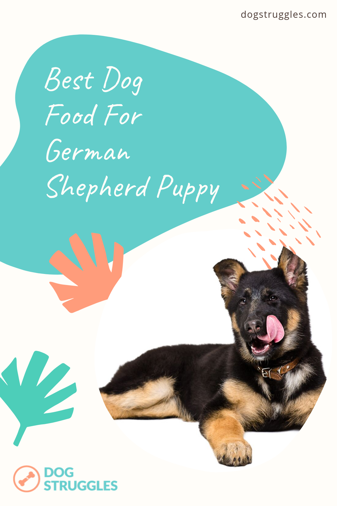 Top 5 Best Dog Foods For German Shepherd Puppies!