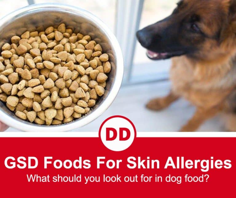Top 5 Best Dog Foods For German Shepherds With Skin Allergies (2022 ...
