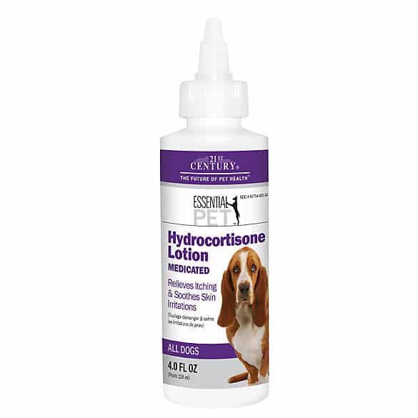 Uses and Safety of Hydrocortisone for Dogs (Cream, Spray, Shampoo ...