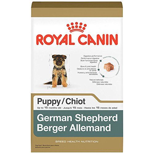 Vet Recommended Dog Food for German Shepherds