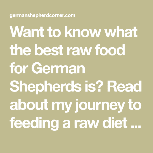 Want to know what the best raw food for German Shepherds is? Read about ...