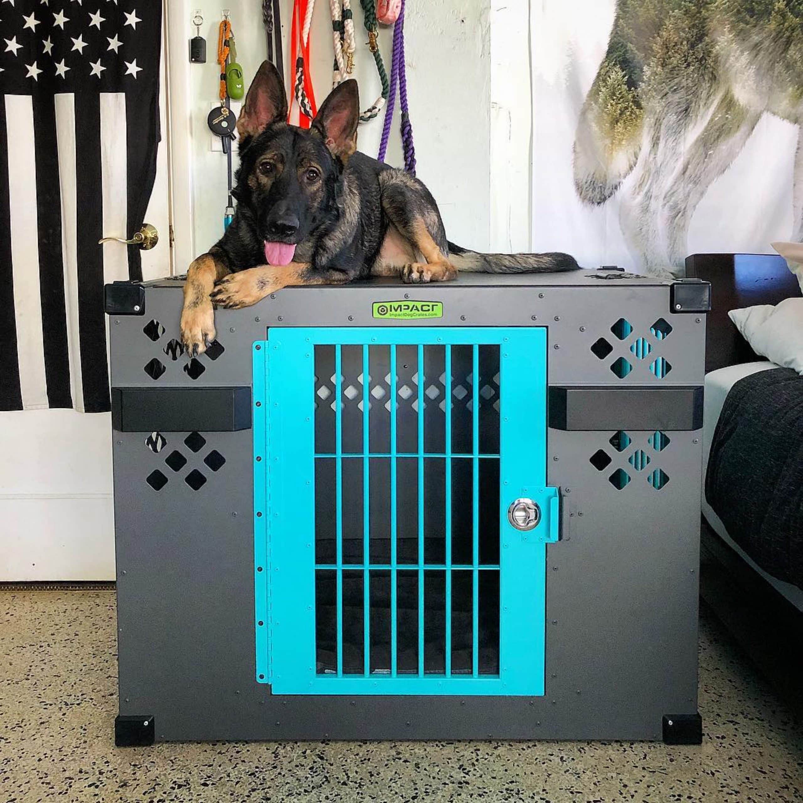 What Is A Good Size Crate For A German Shepherd