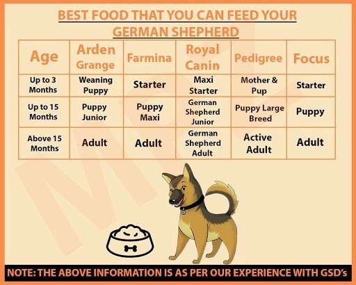 what is the best food for a 1 month old german shepherd