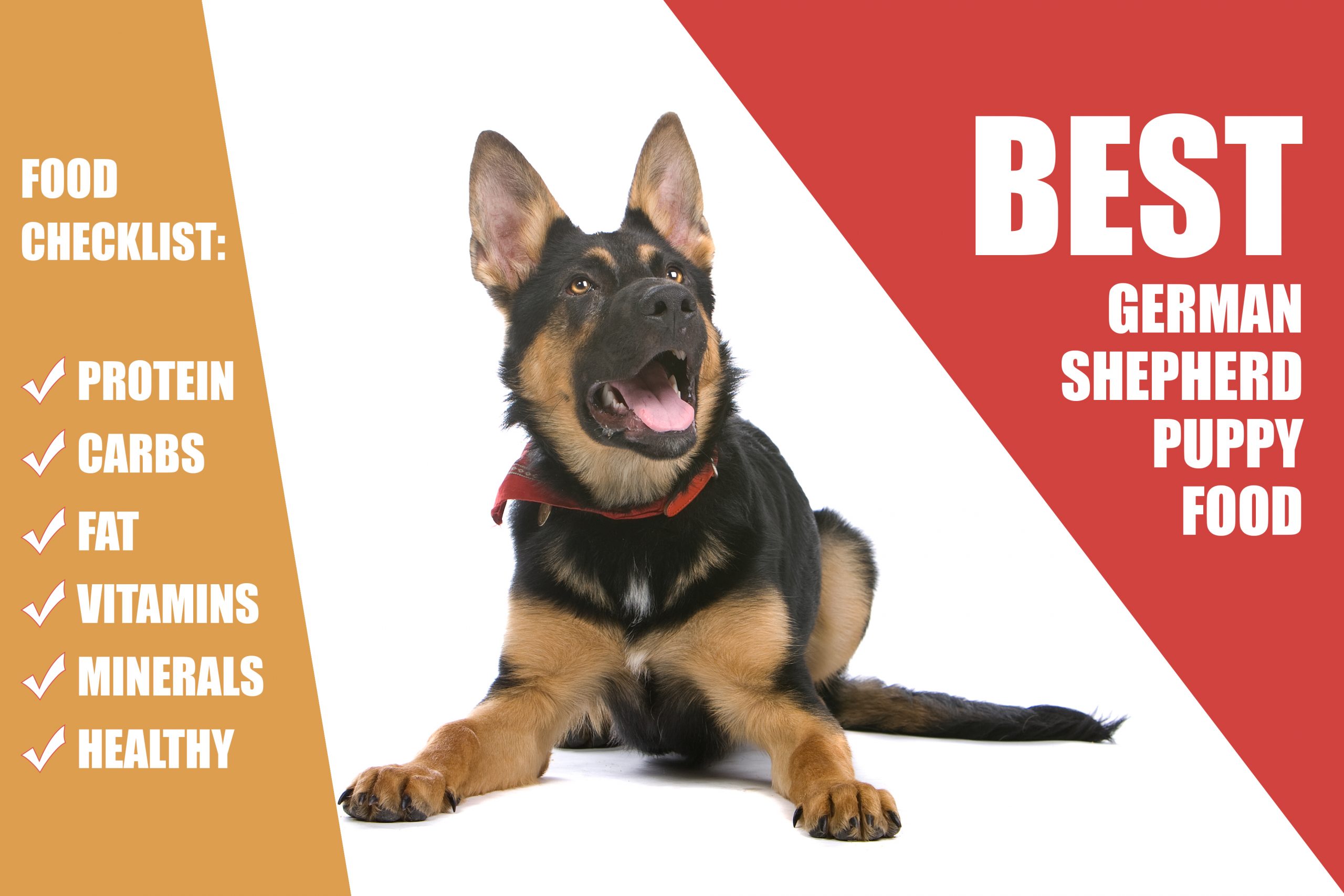 What Is The Best Food For Your German Shepherd Puppy?