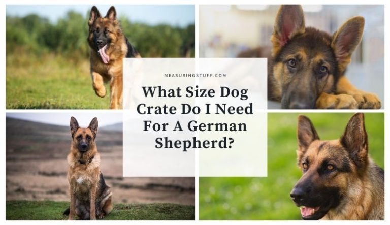 What Size Dog Crate Do I Need For A German Shepherd?