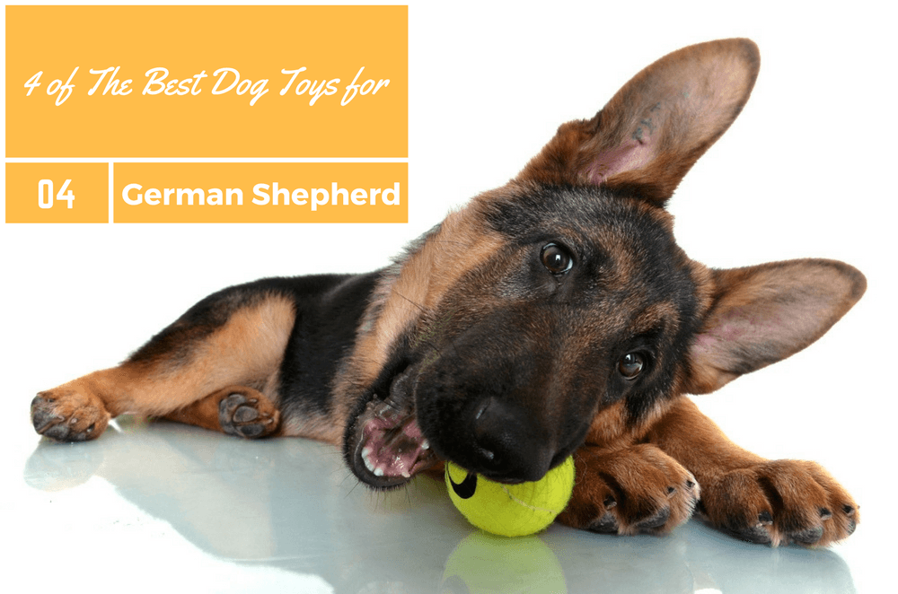 What Toys Do German Shepherds Like