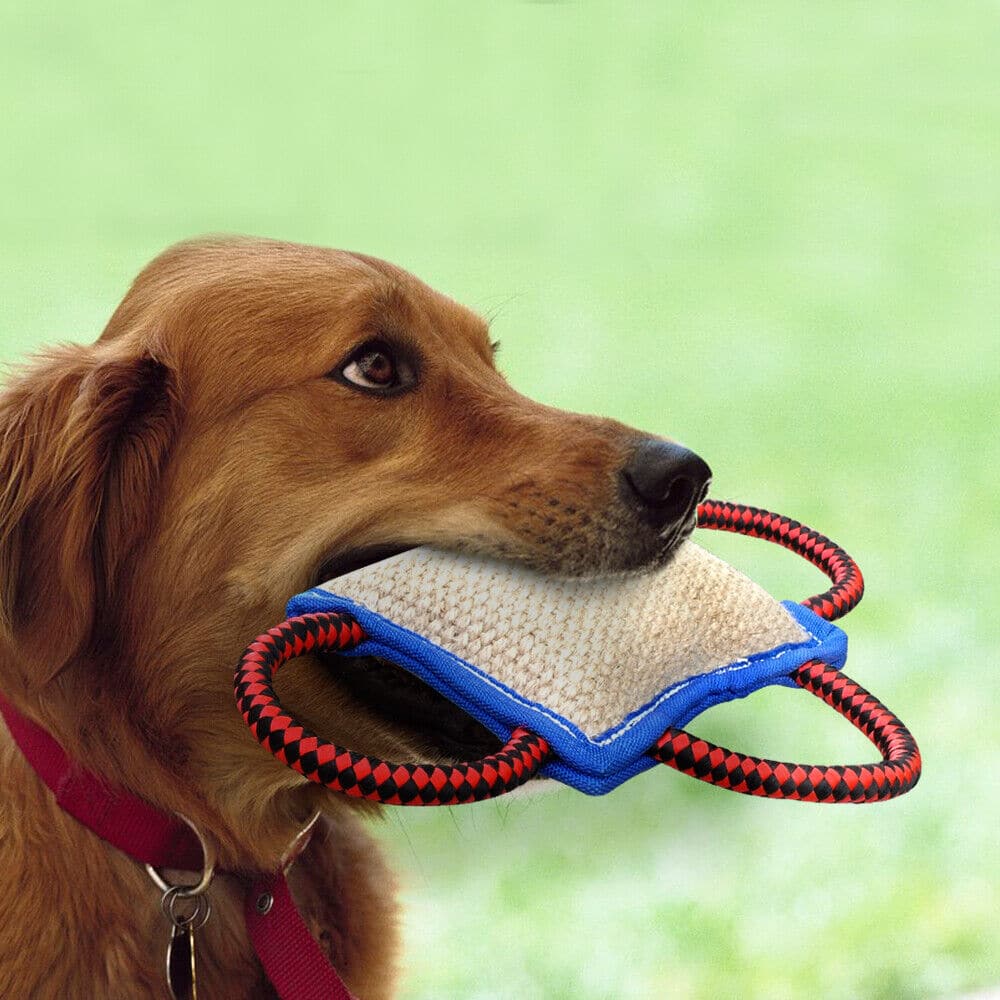 Young Dogs Bite Pillow Tug K9 Dogs Training Builder Chew Toy for German ...
